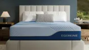 Egohome