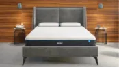 Bear Mattress