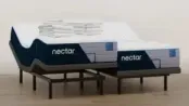 Nectar Bundle