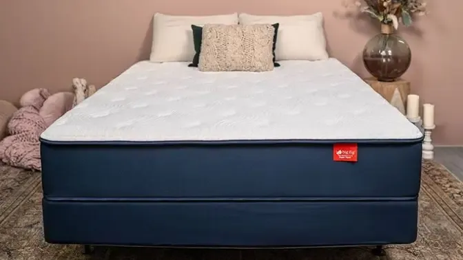 Big Fig heavy-duty mattress
