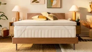 Tempur-Pedic Topper